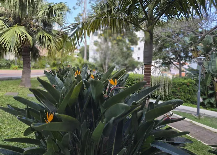 Bunganvilia Hotell Funchal (Madeira)