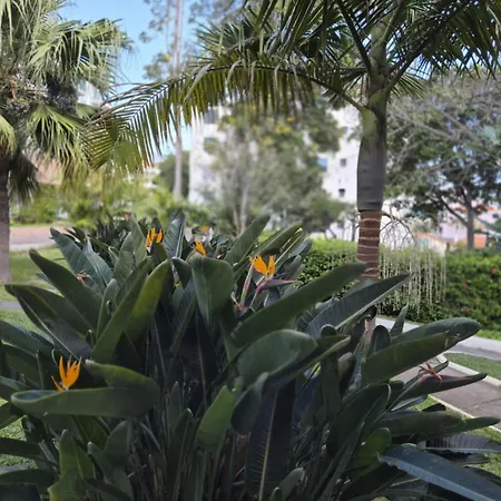 Bunganvilia Hotel Funchal (Madeira)